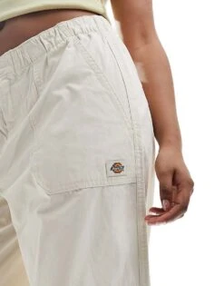 Dickies Shop -Dickies Shop 205918531 2