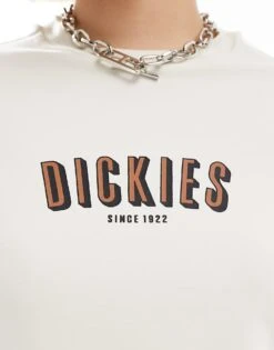 Dickies Shop -Dickies Shop 206064028 2