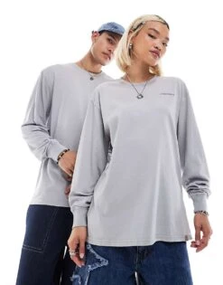 Dickies Plentywood Long Sleeved T-shirt In Washed Grey For Unisex