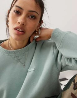 Dickies Sweatshirt With Tonal Logo In Blue For Women Mid Blue -Dickies Shop 206672452 2