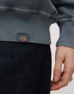 Dickies Plentywood Small Logo Sweatshirt In Washed Mid Blue For Unisex -Dickies Shop 207972756 2