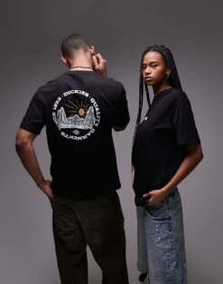 Dickies Outdoor Graphic Back Print T-shirt In Black For Unisex