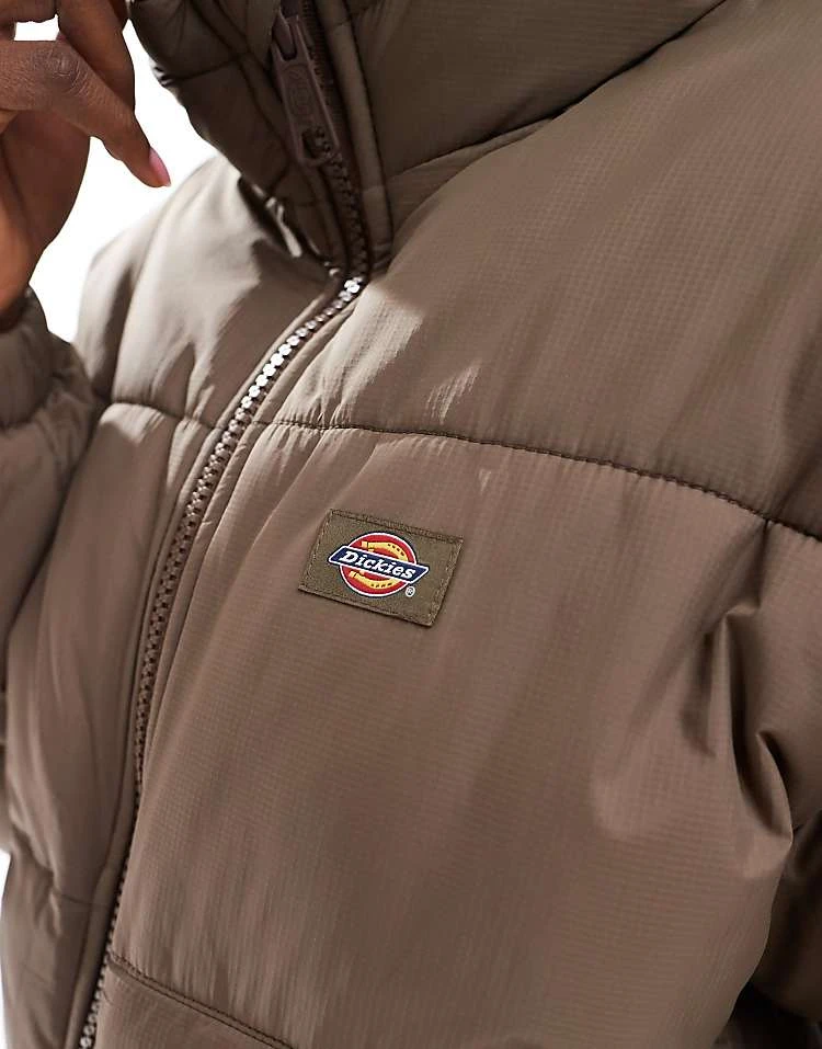 Dickies Shop -Dickies Shop 206695791 2